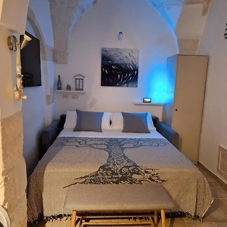 Vico 44 -